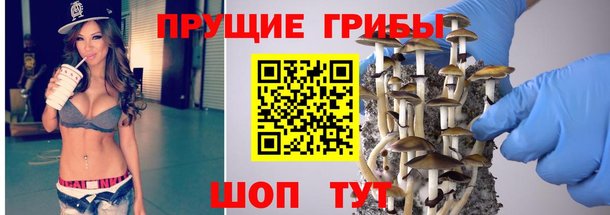 Галлюциногенные грибы Cubensis  Галлюциногенные грибы MAGIC MUSHROOMS  Тихорецк  дарнет шоп  Вход с VPN 